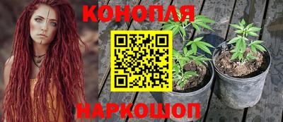 мдпв Вышний Волочёк