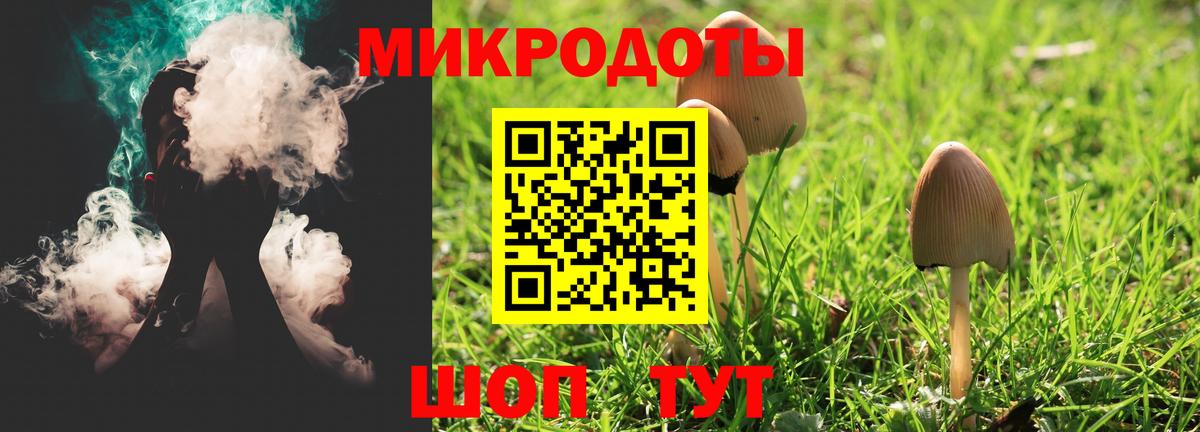 Галлюциногенные грибы Magic Shrooms  дарнет шоп  Брянск  Вход с VPN 